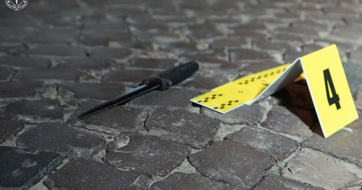 Львів: 25-річний вбивця одним поглядом осудив життя військового з ТЦК.