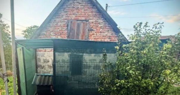 Львівщина: розслідують вбивство собаки ножем та вилами.